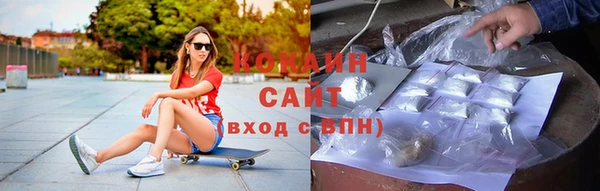 круглые Пересвет