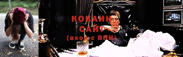 круглые Пересвет