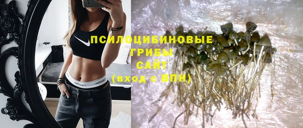 круглые Пересвет