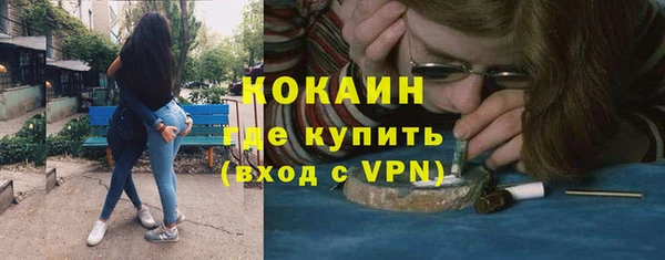 круглые Пересвет